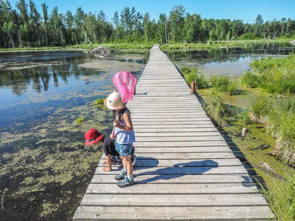 two kids with a net looking off dock into water surrounded by pond and greenery
